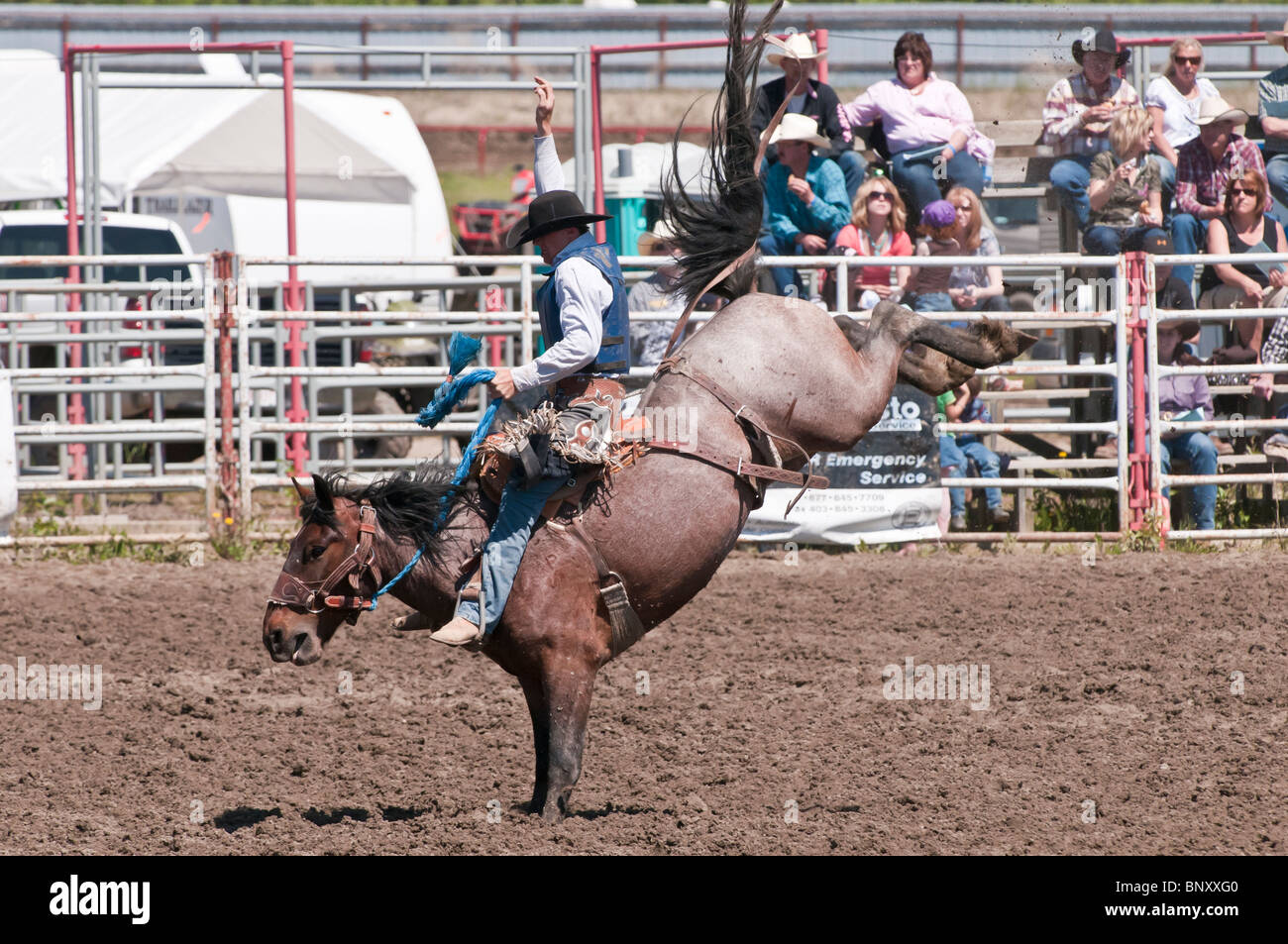 Cowboy, saddle bronc riding, Rocky Mountain House Rodeo, Rocky Mountain