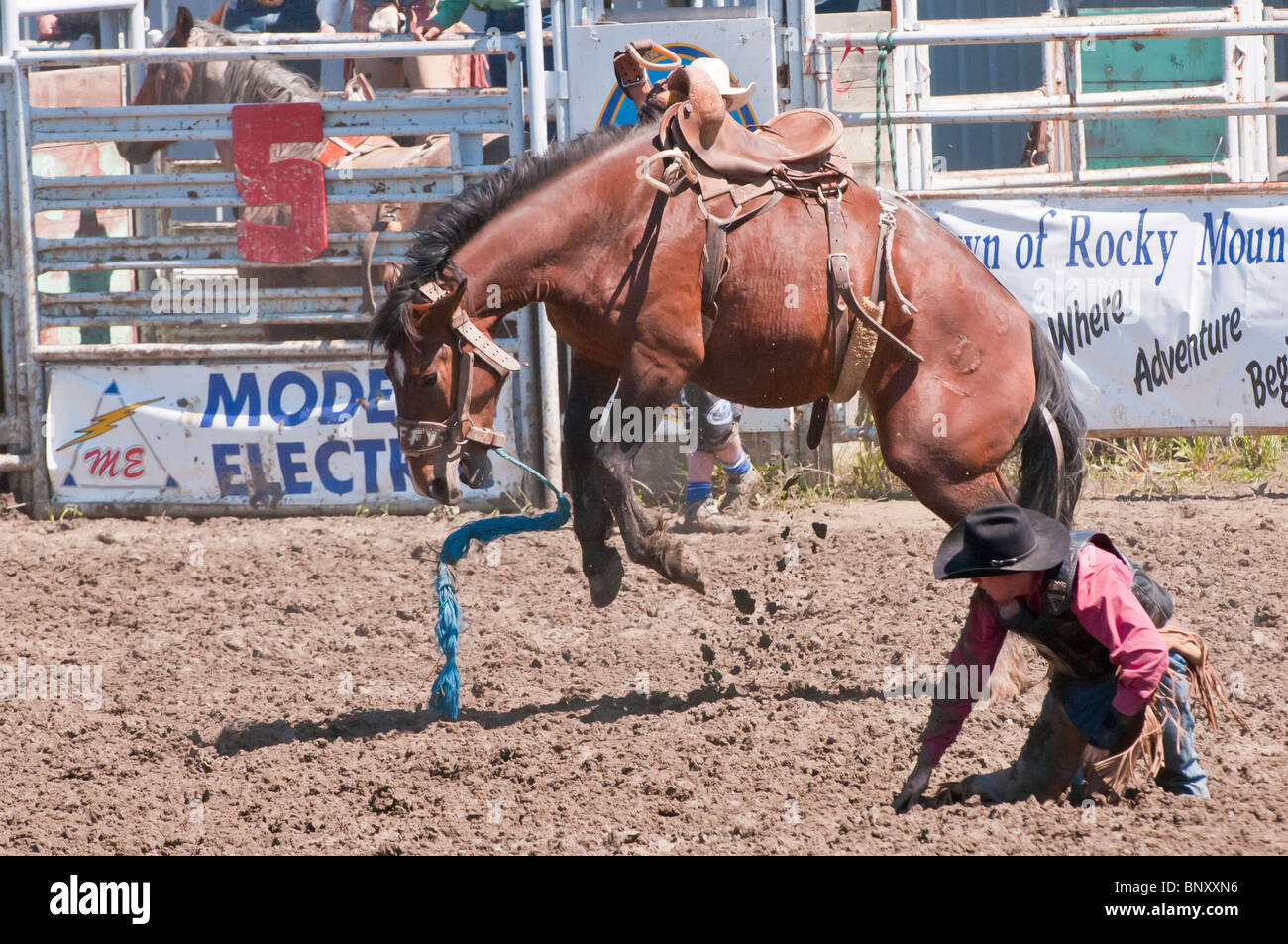 Crazy horse mountain hires stock photography and images Alamy