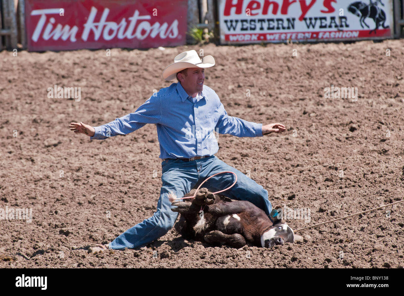 Tie down roping hires stock photography and images Alamy