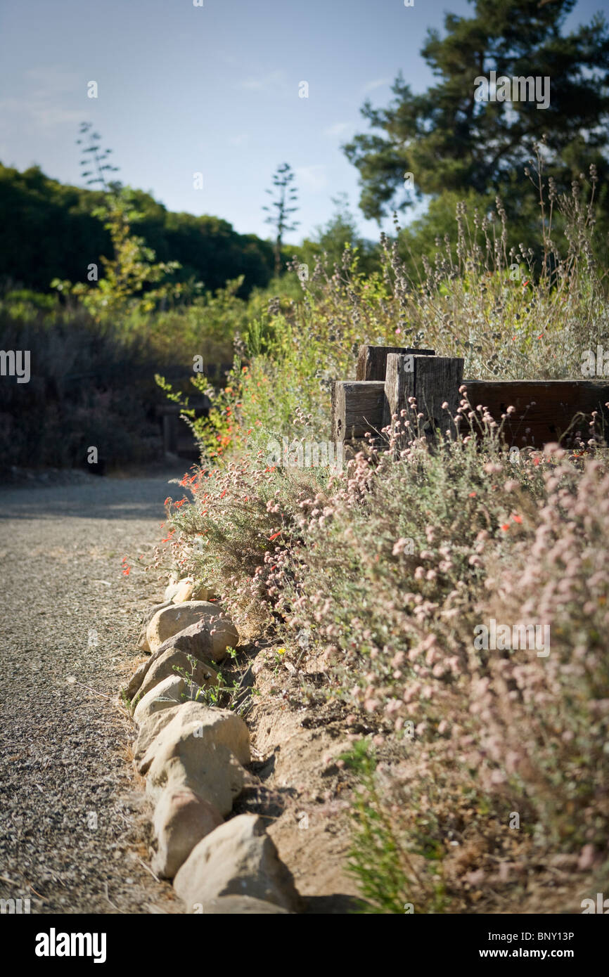 A pathway in chaparral countryside Stock Photo