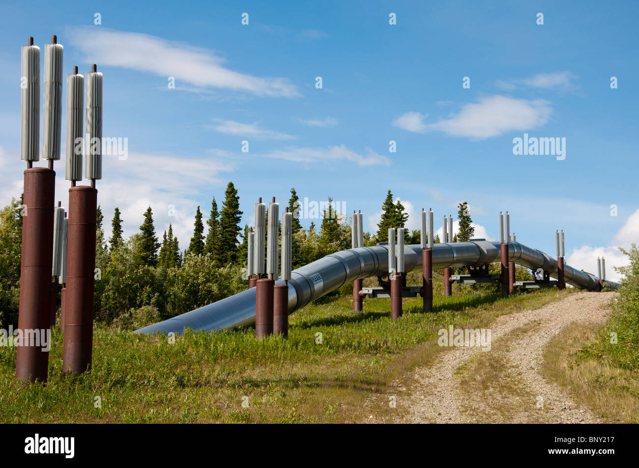 View of Alaska pipeline leaving ground along the Richardson Highway