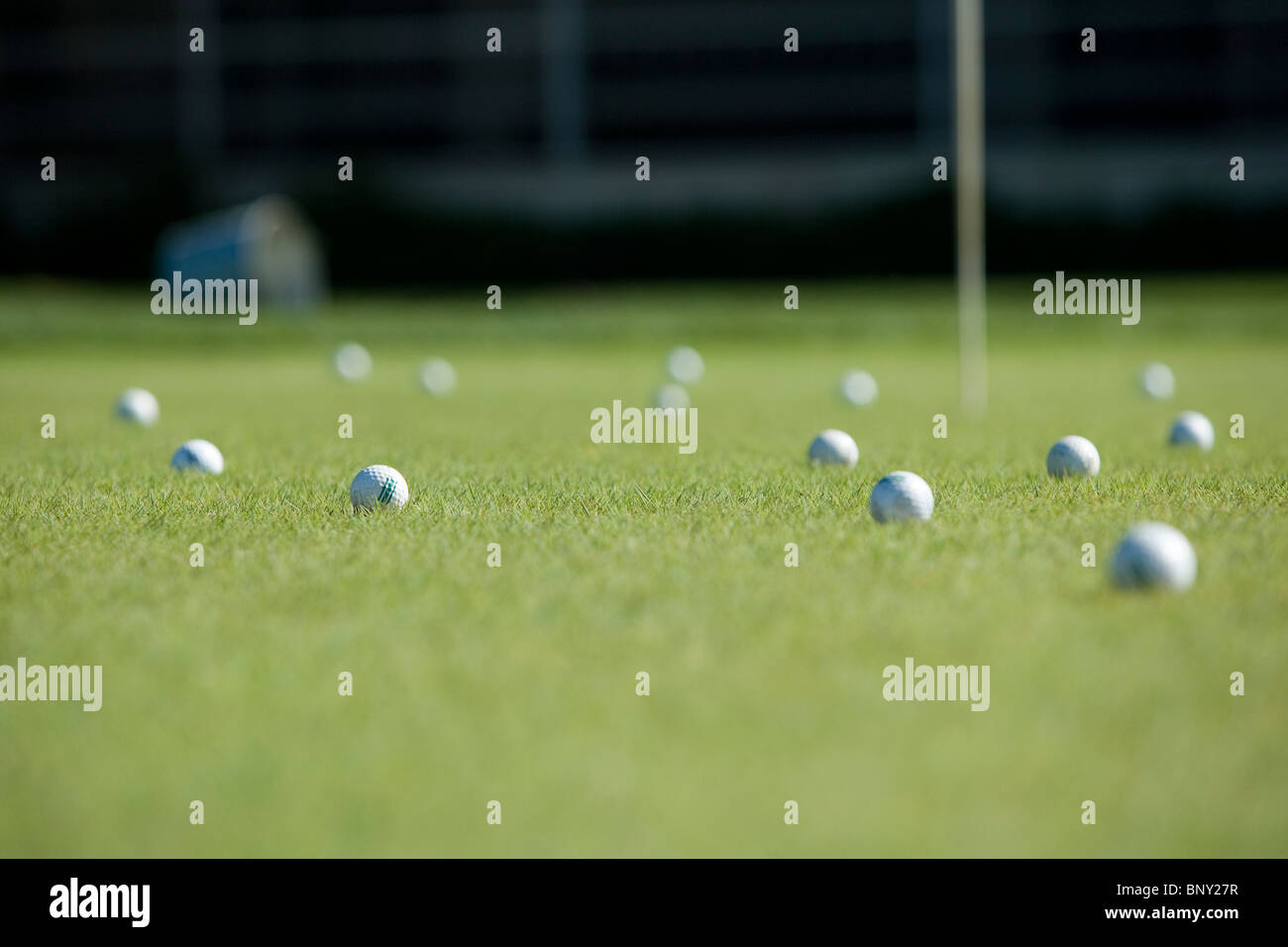 A bucket and balls at a golf course practice green Stock Photo Alamy