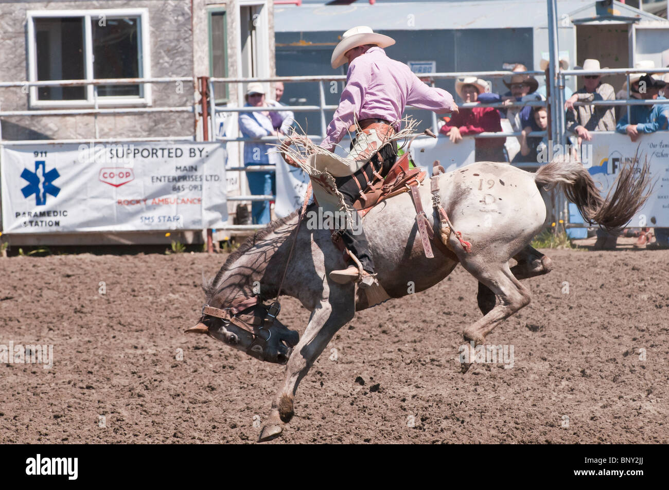Cowboy, saddle bronc riding, Rocky Mountain House Rodeo, Rocky Mountain