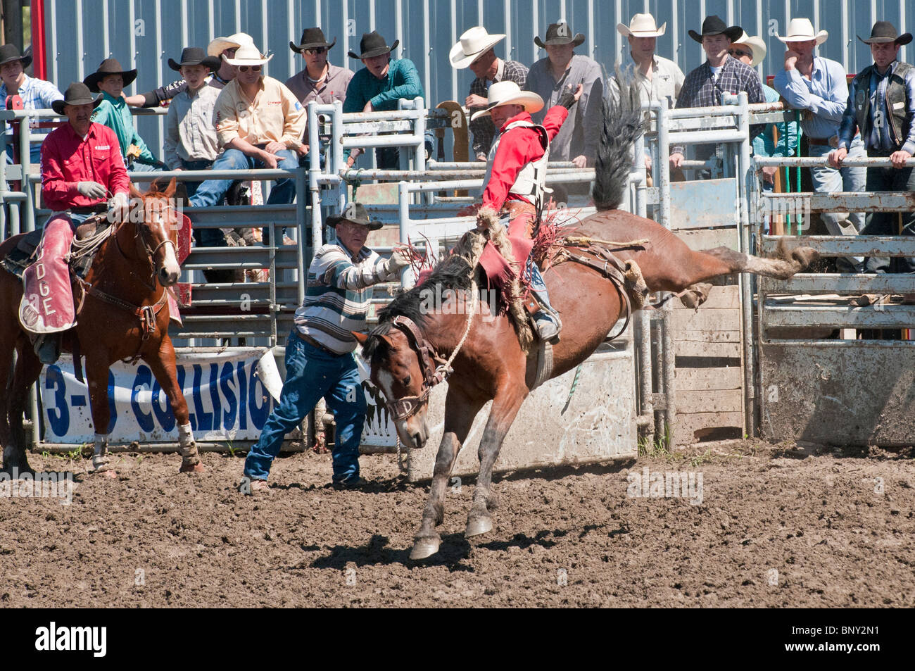 Cowboy, saddle bronc riding, Rocky Mountain House Rodeo, Rocky Mountain