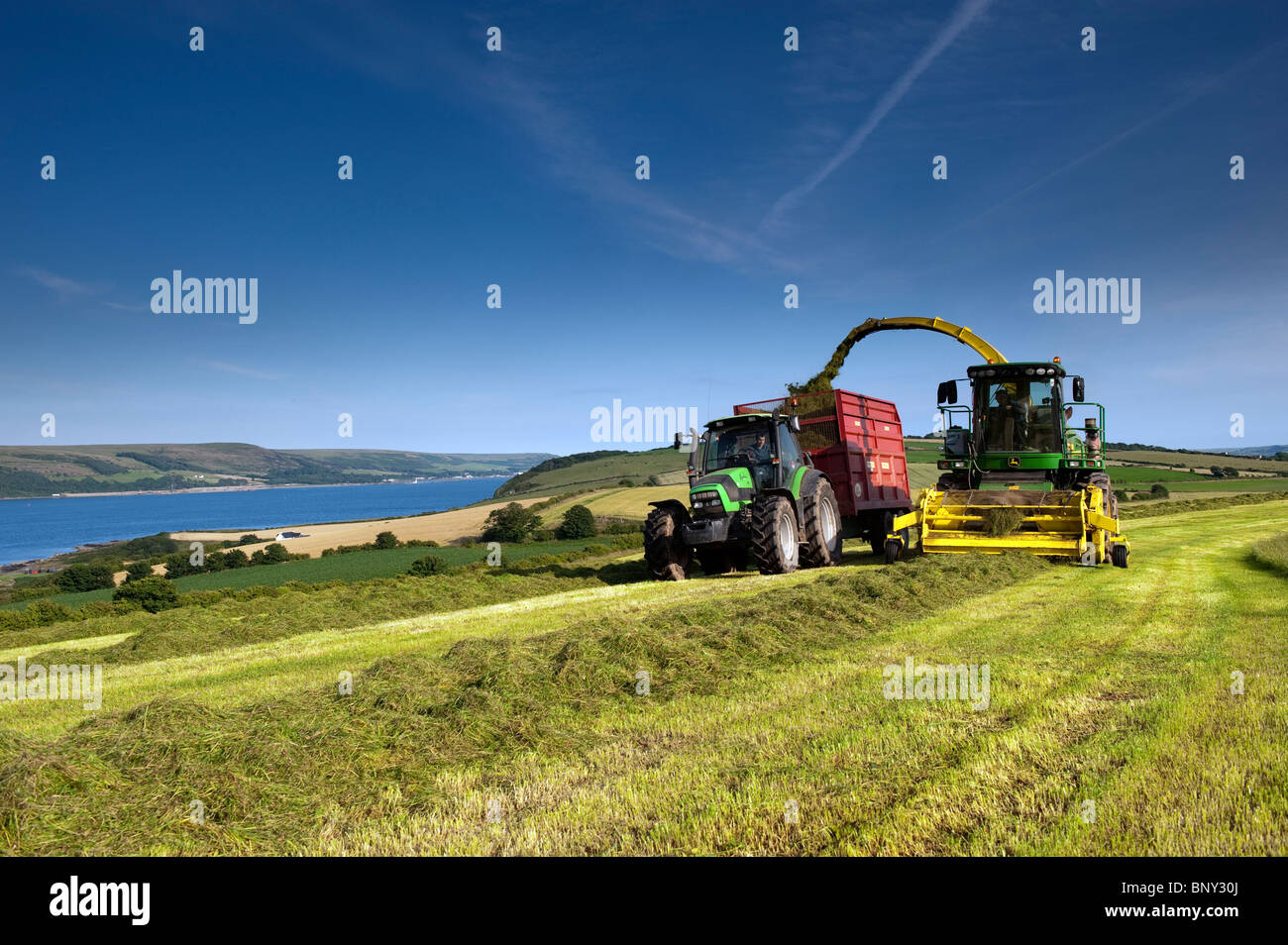 Silage making on the coast of Loch Ryan near Stranraer with Deutz Fahr tractor and John Deere chopper Stock Photo