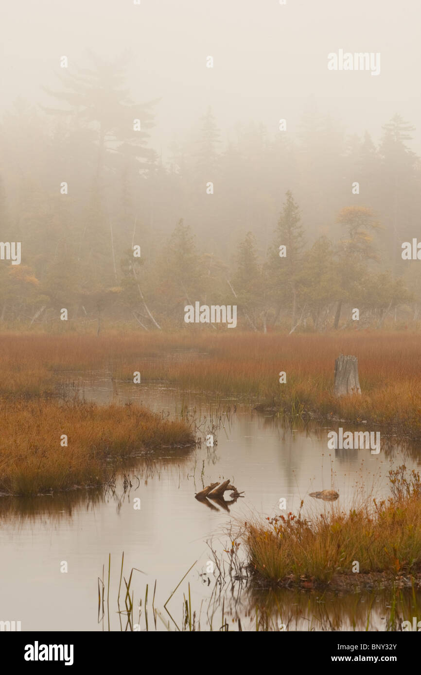 Jordan river tributary hi-res stock photography and images - Alamy