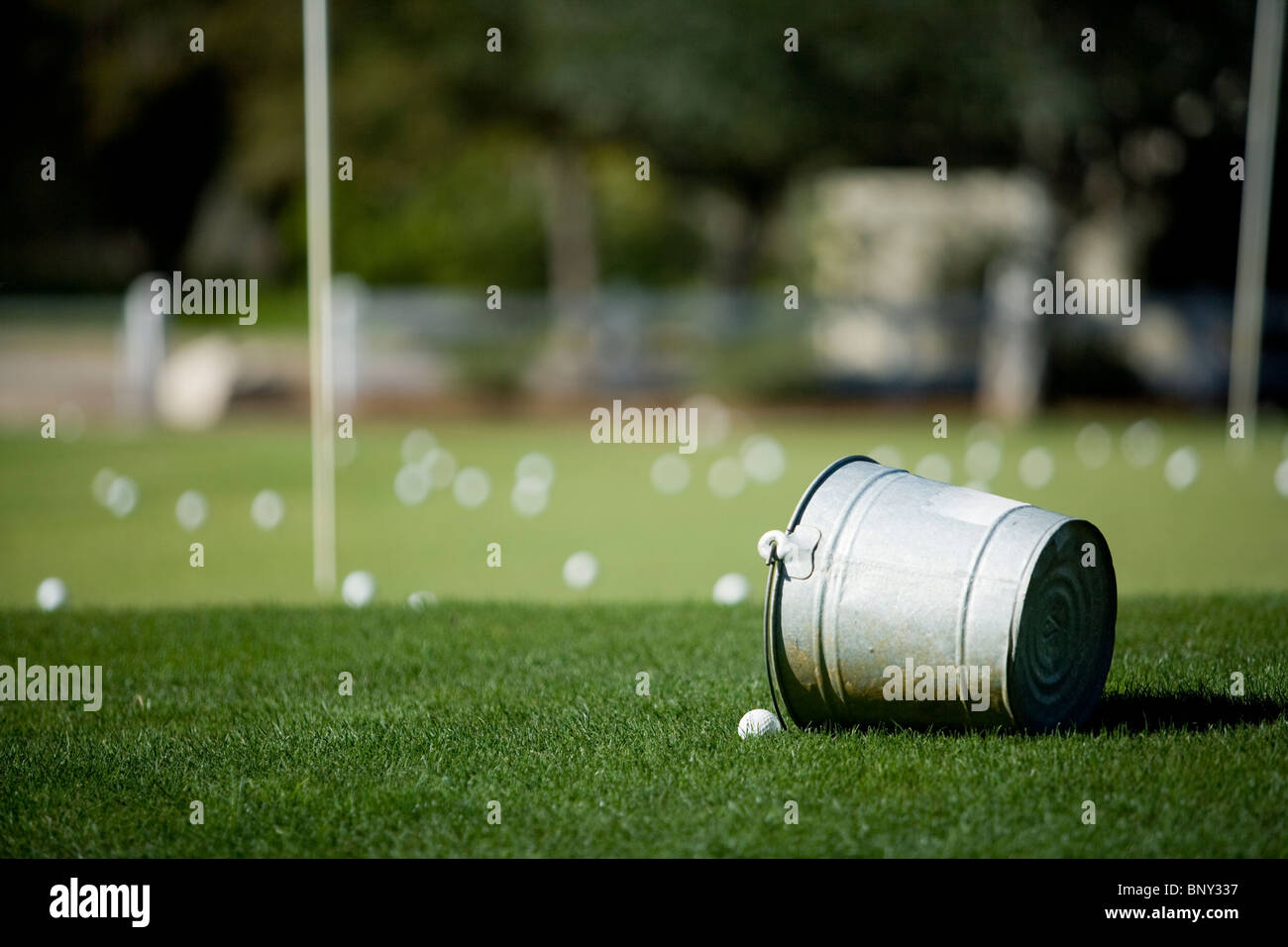 A bucket and balls at a golf course practice green Stock Photo Alamy
