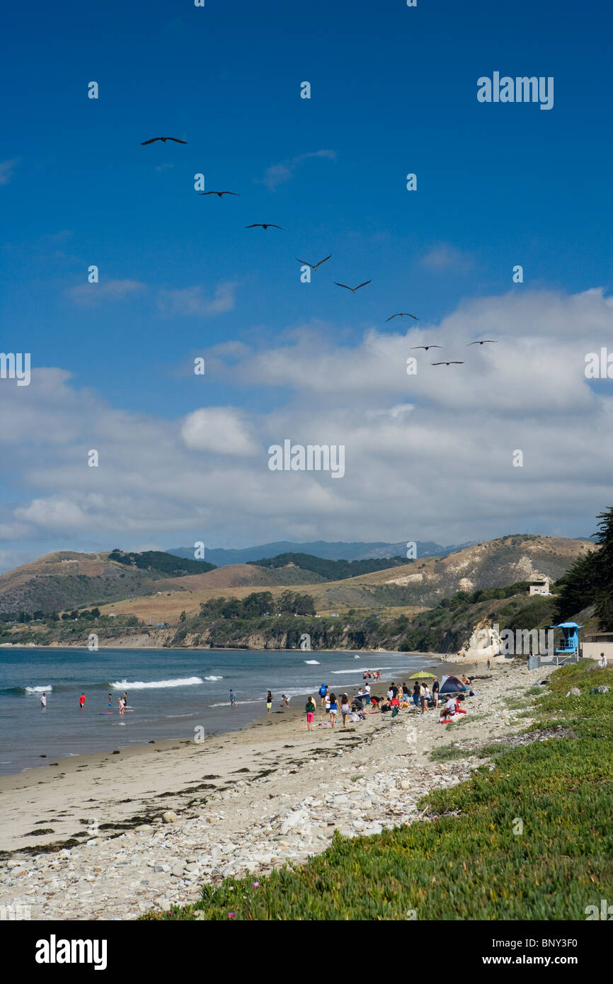 El Capitan State Beach, California Stock Photo Alamy
