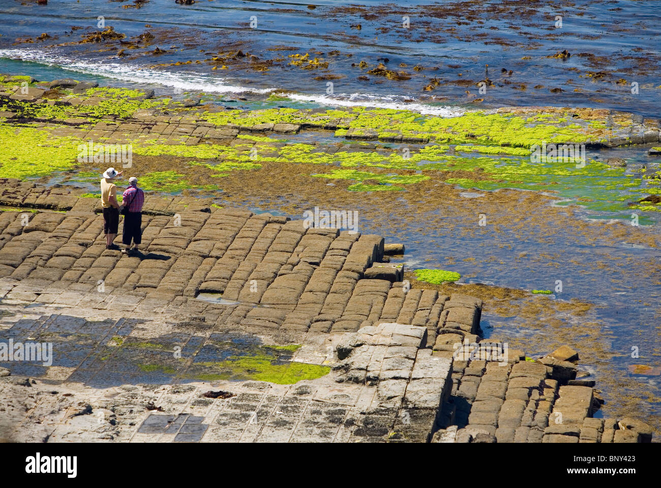 Tourists at the Tessellated Pavement - a natural rock formation on the Tasman Peninsula. Tasmania, AUSTRALIA Stock Photo