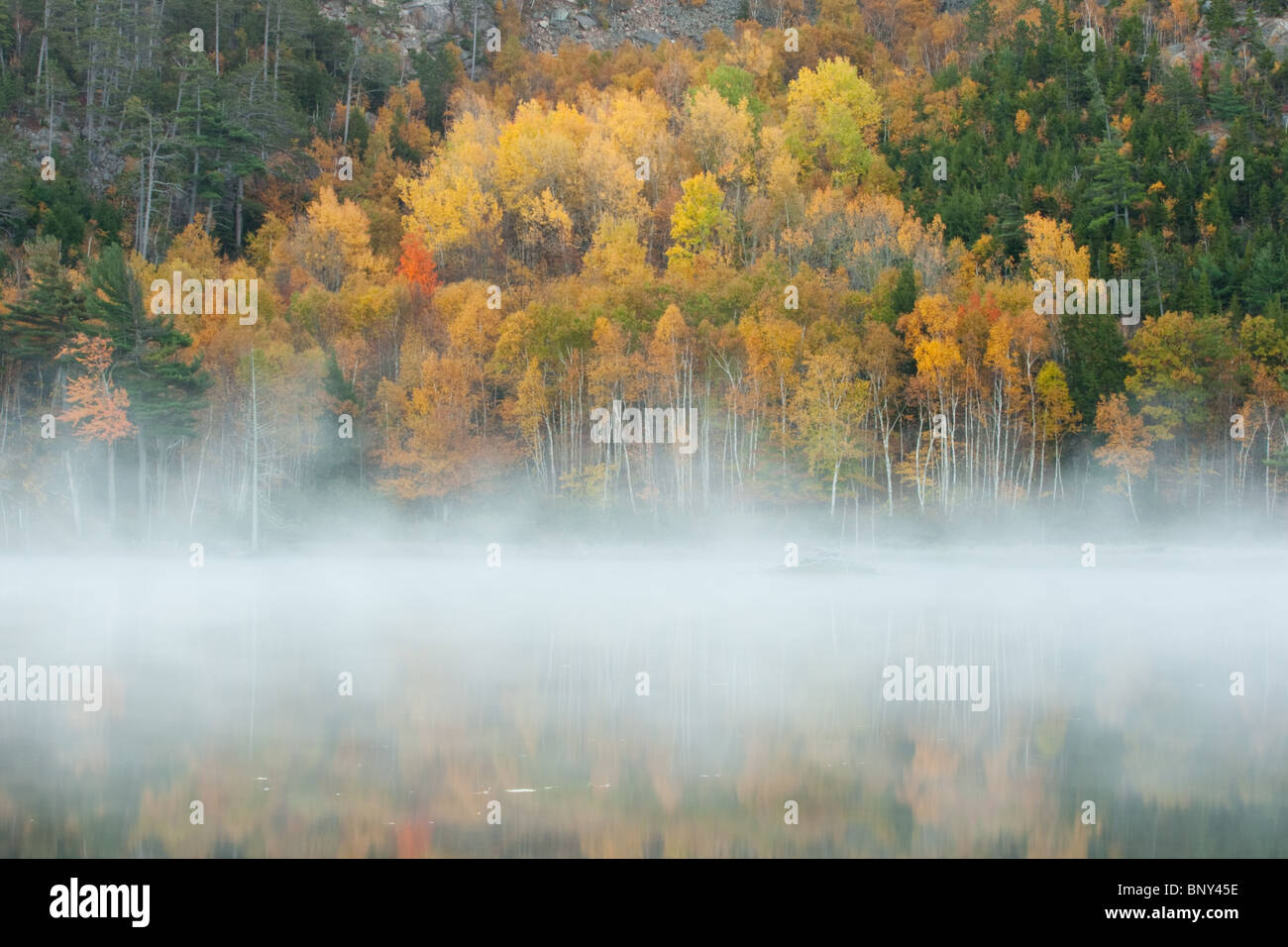 Early Morning Mist Hovering over Beaver Dam Pond, Acadia National Park, Maine, USA Stock Photo