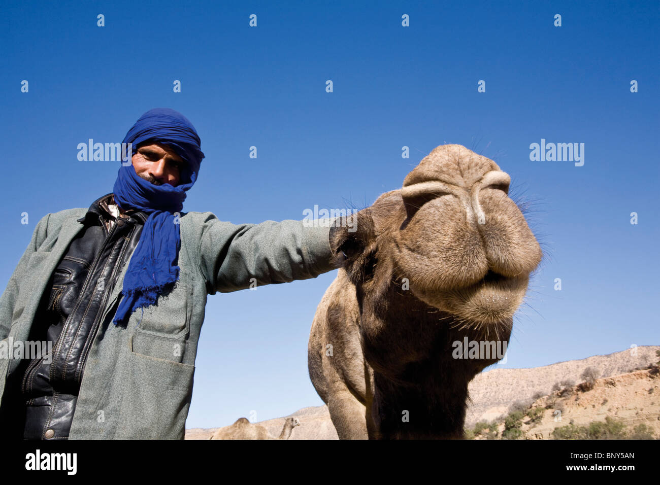 Camel driver and camel, Morocco Stock Photo