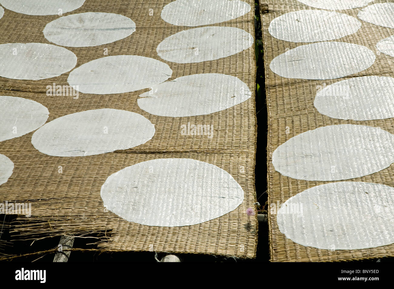 Artisanal production of coconut rice sheets, sheets drying in sun Stock Photo