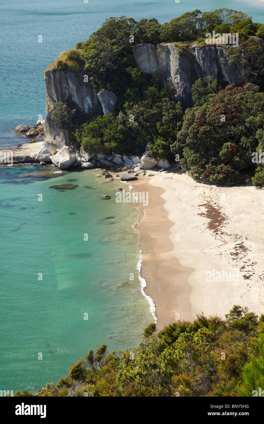 Lonely Bay, Coromandel Peninsula, North Island, New Zealand Stock Photo