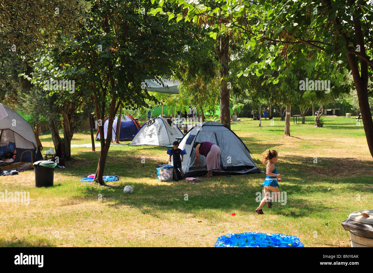 Tents at a camping ground in a park Stock Photo Alamy