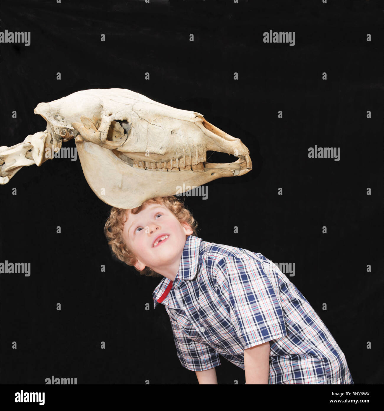 Boy looking at skeleton Stock Photo