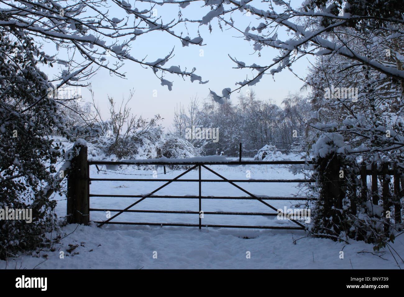 Gateway through hedgerow onto open fields in deep snow, Kidmore End Lane, Sonning Common, Oxfordshire, England, UK Stock Photo