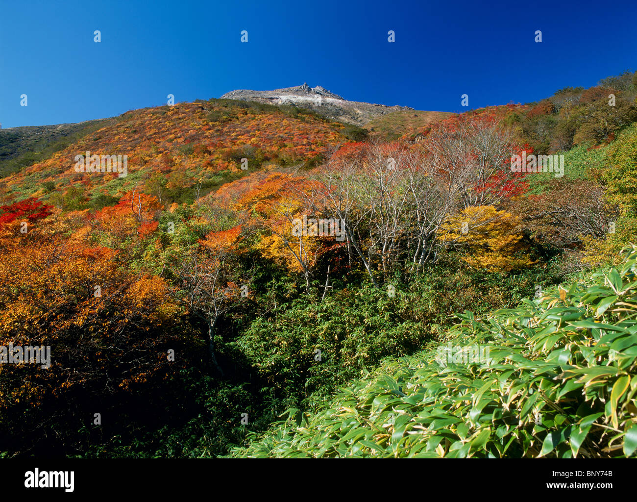 Mount Chausu, Nasu, Tochigi, Japan Stock Photo