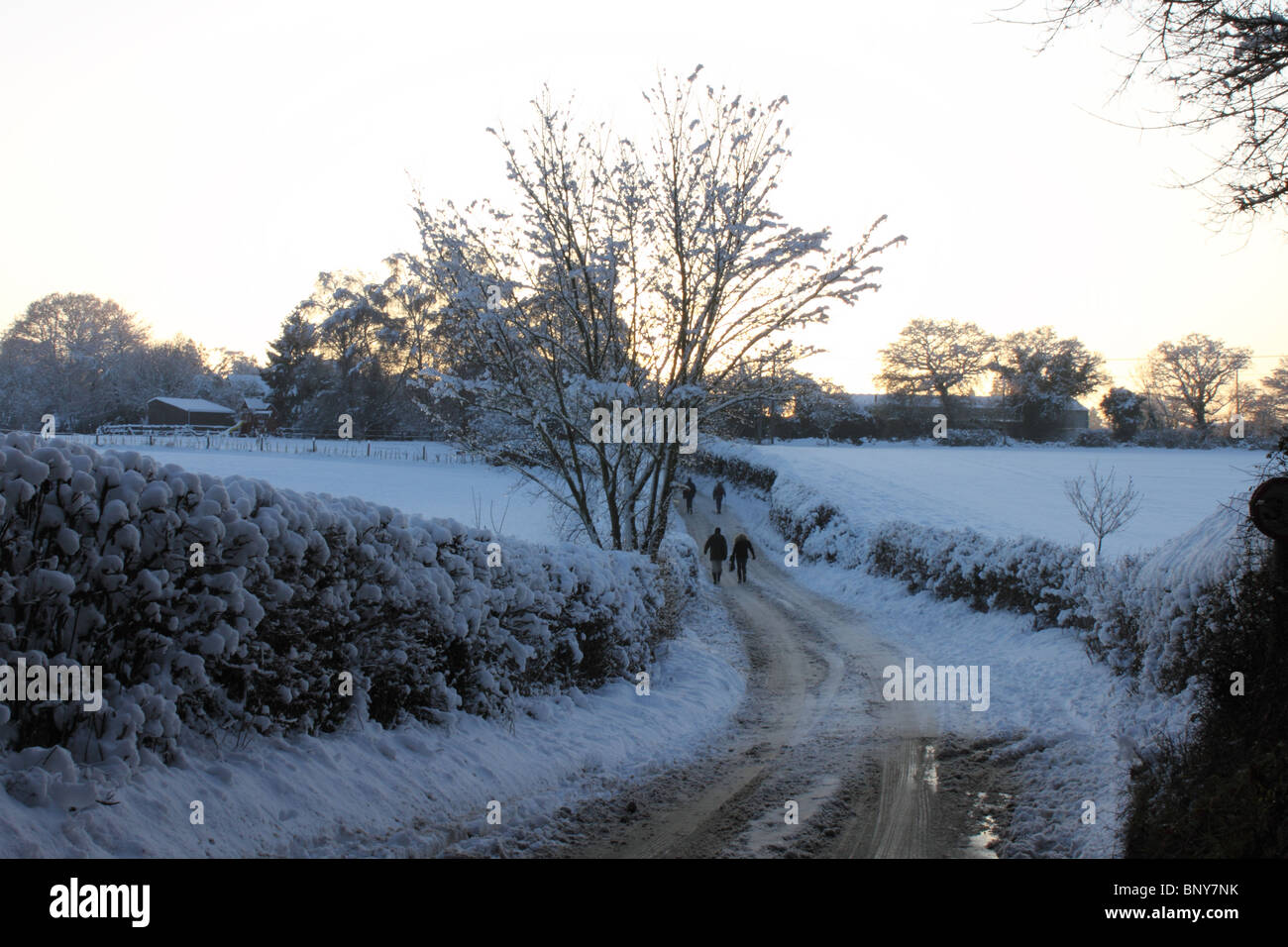 Kidmore End Lane, Sonning Common in snow at dusk, Oxfordshire, England, UK Stock Photo