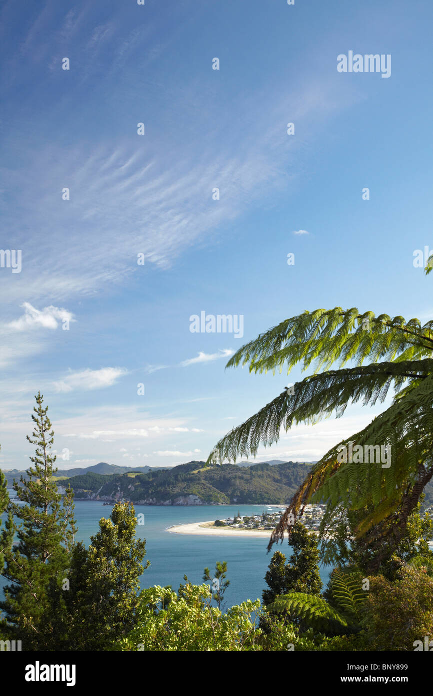 Whangamata, Coromandel Peninsula, North Island, New Zealand Stock Photo
