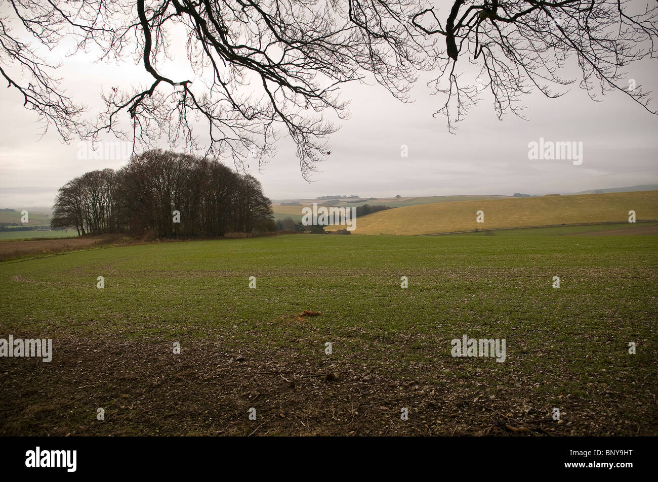 Bronze Age round barrows on Overton Hill, Marlborough Downs, Wiltshire