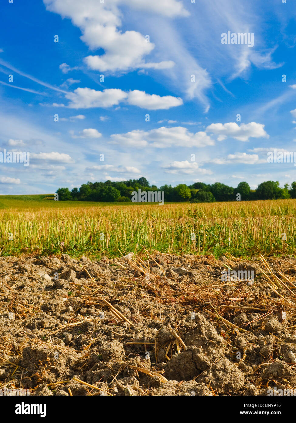 Stubble after harvest hi-res stock photography and images - Alamy