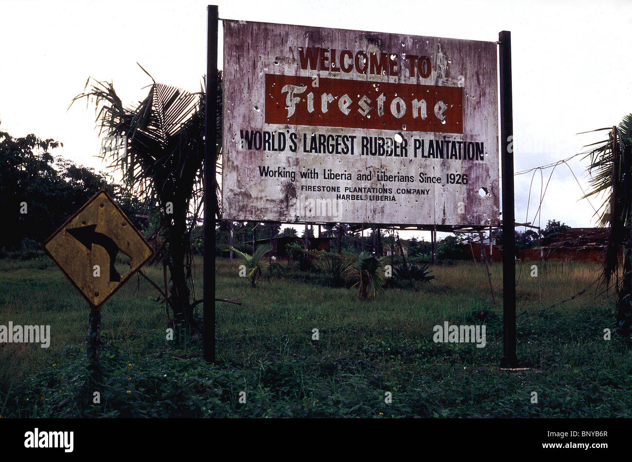 Abandoned rubber plantation in Liberia owned by Firestone Stock Photo