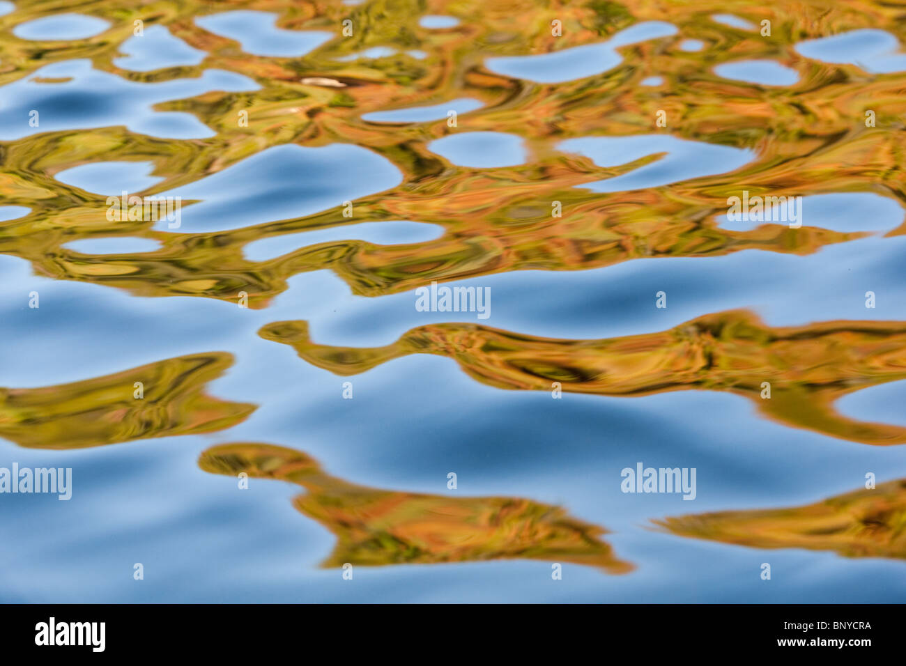 Reflections and Ripples, Bear Lake, Rocky Mountain National Park, Colorado, USA Stock Photo