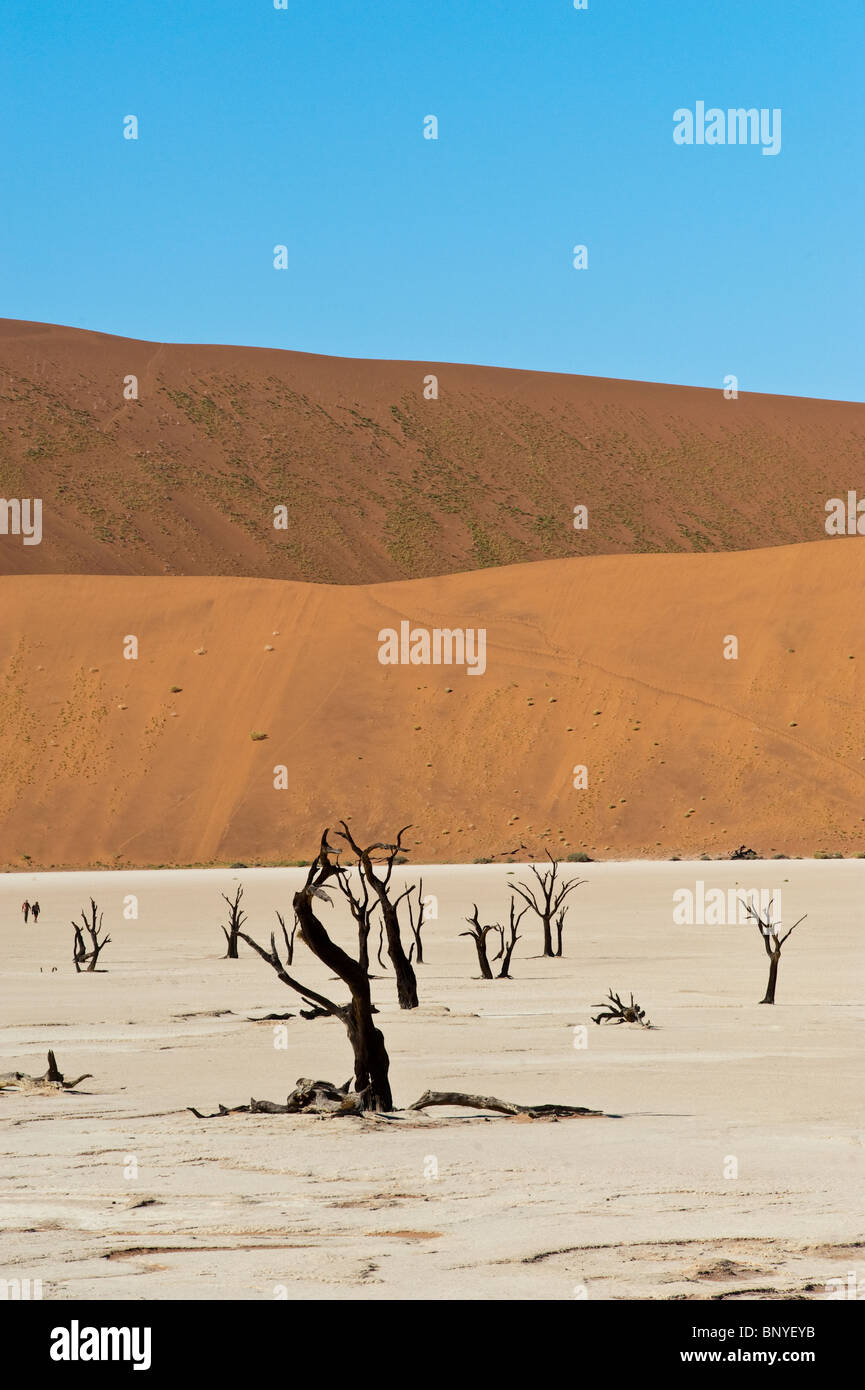 Dead Vlei at Sossusvlei landscape with dead Acacia trees and red sand dunes Namib Naukluft Park Namibia Stock Photo