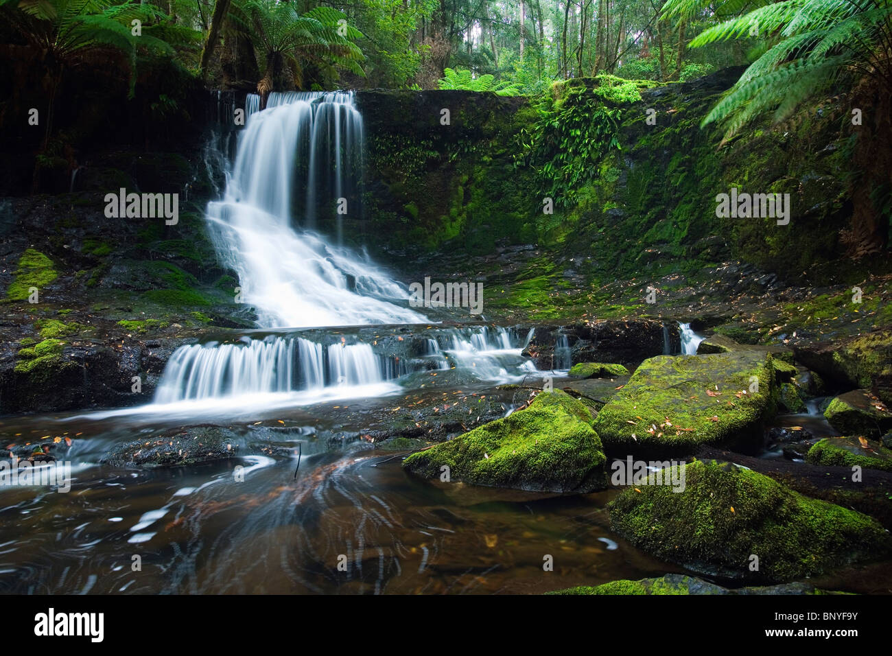 Horseshoe Falls in Mt Field National Park, Tasmania, AUSTRALIA Stock Photo