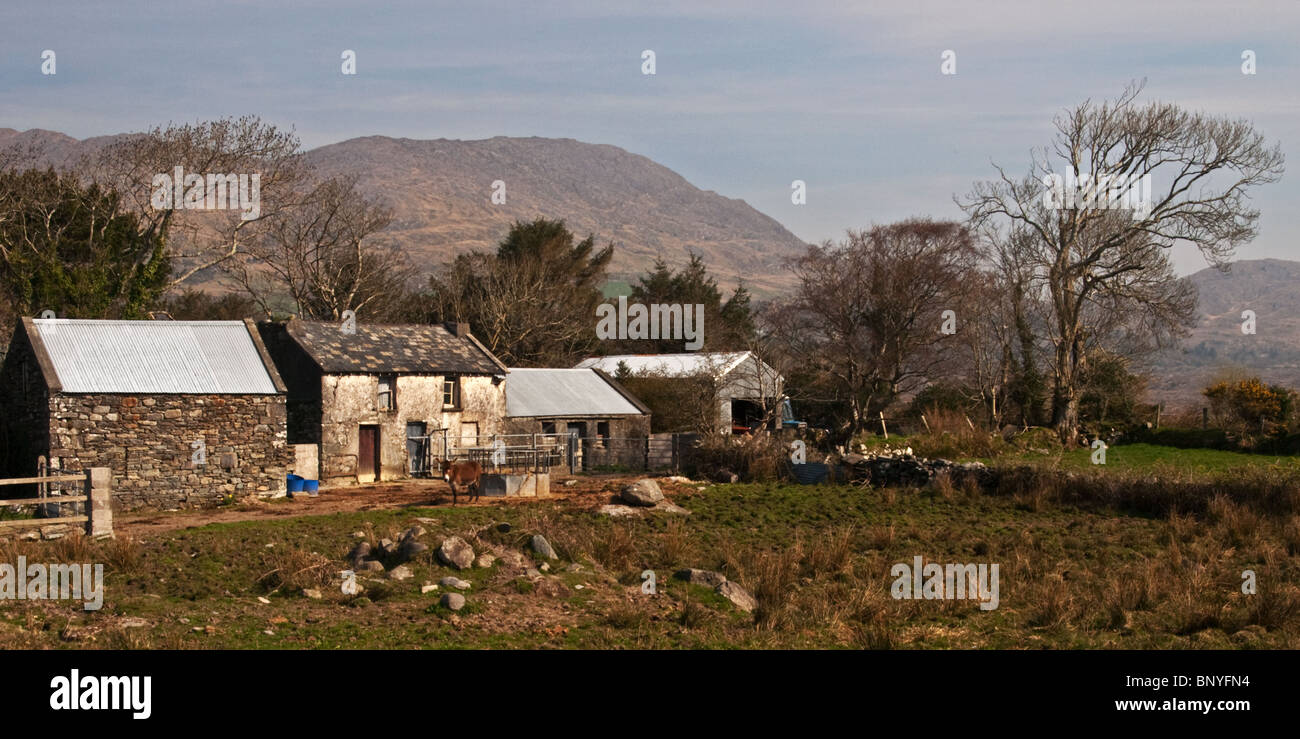 Farm near Adrigole, Beara Peninsula, County Cork, Ireland Stock Photo