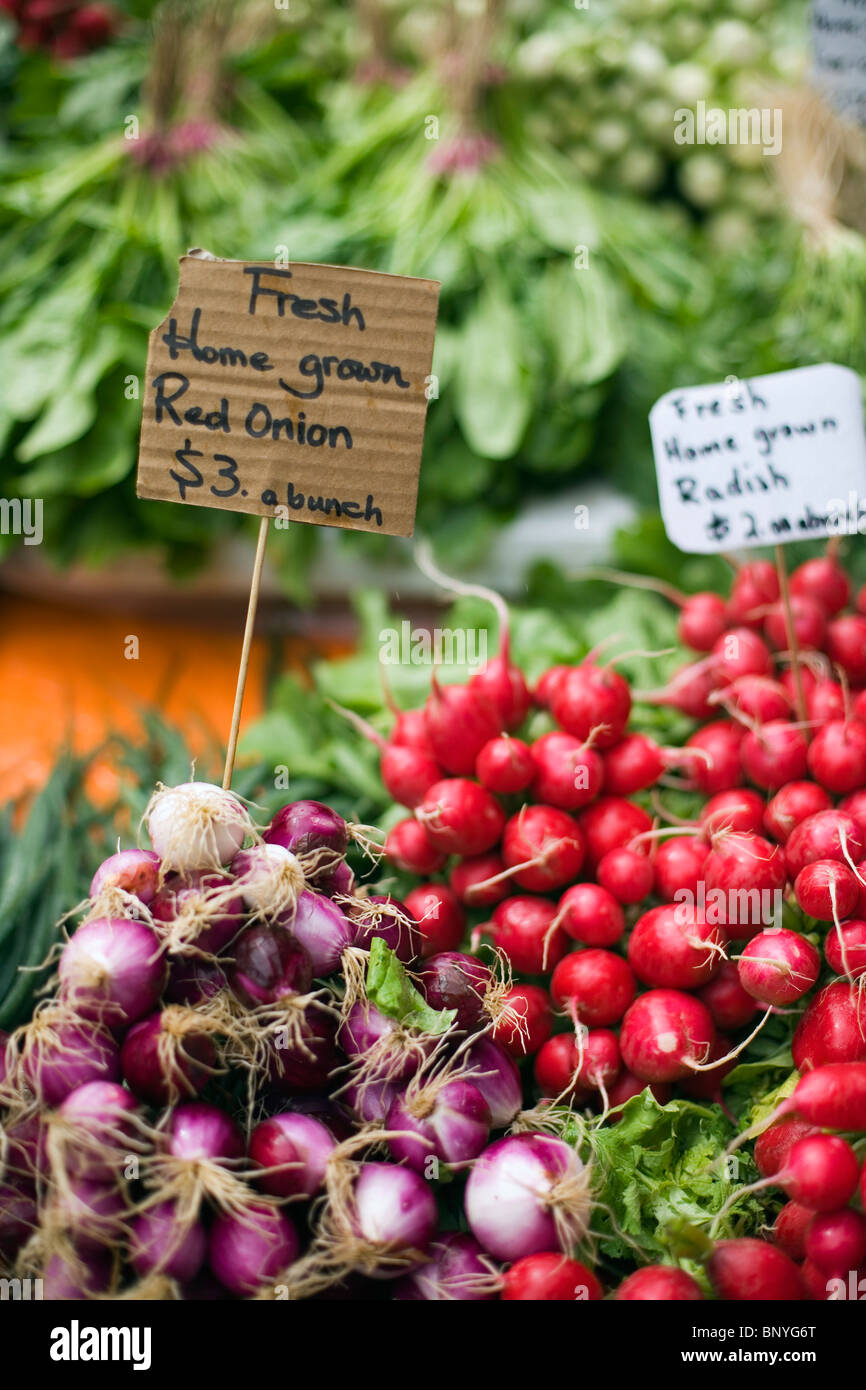 Fresh produce in Salamanca Market.  Hobart, Tasmania, AUSTRALIA Stock Photo