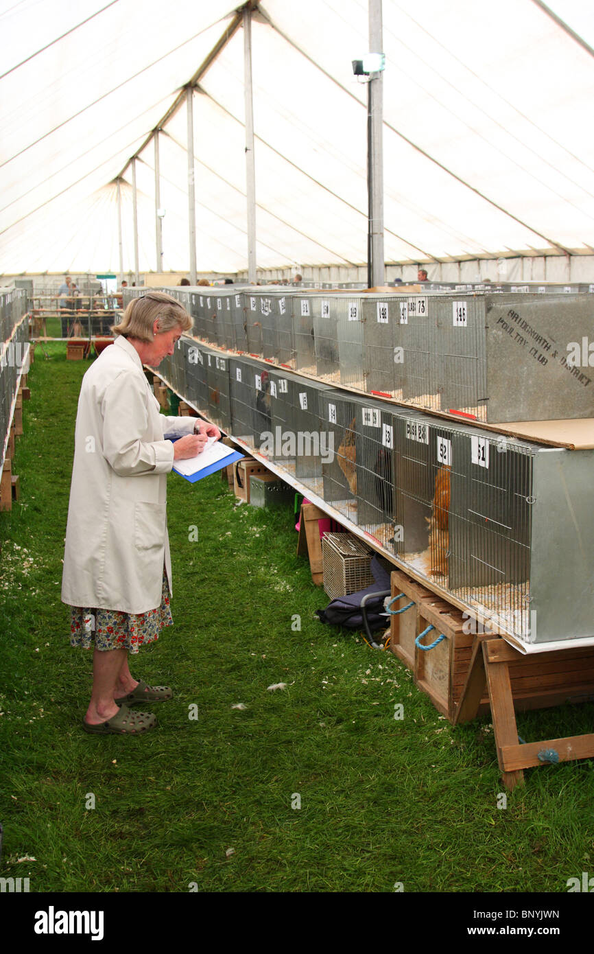 Poultry show cages hires stock photography and images Alamy