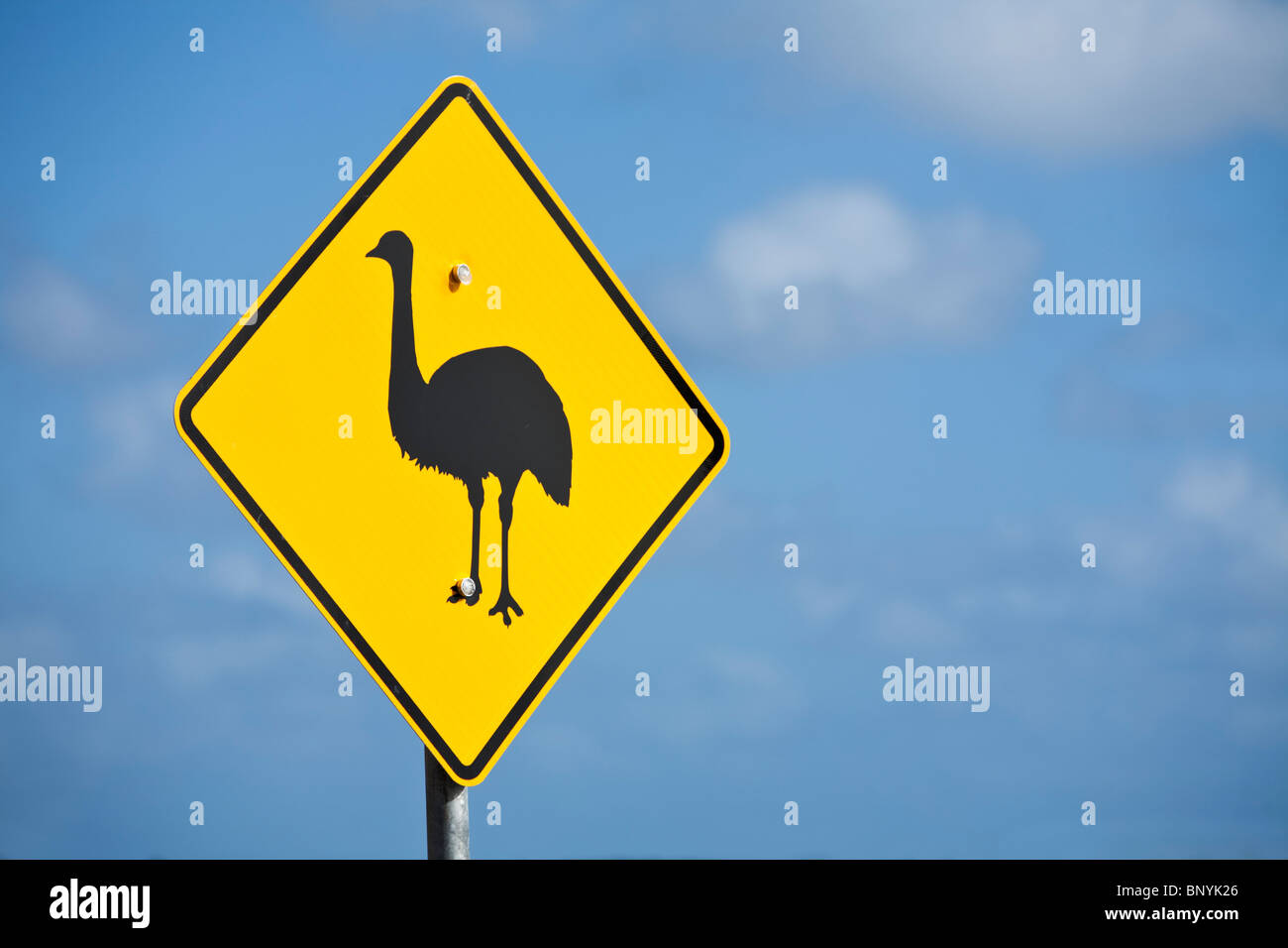 Road Sign Emu Australia High Resolution Stock Photography and Images ...