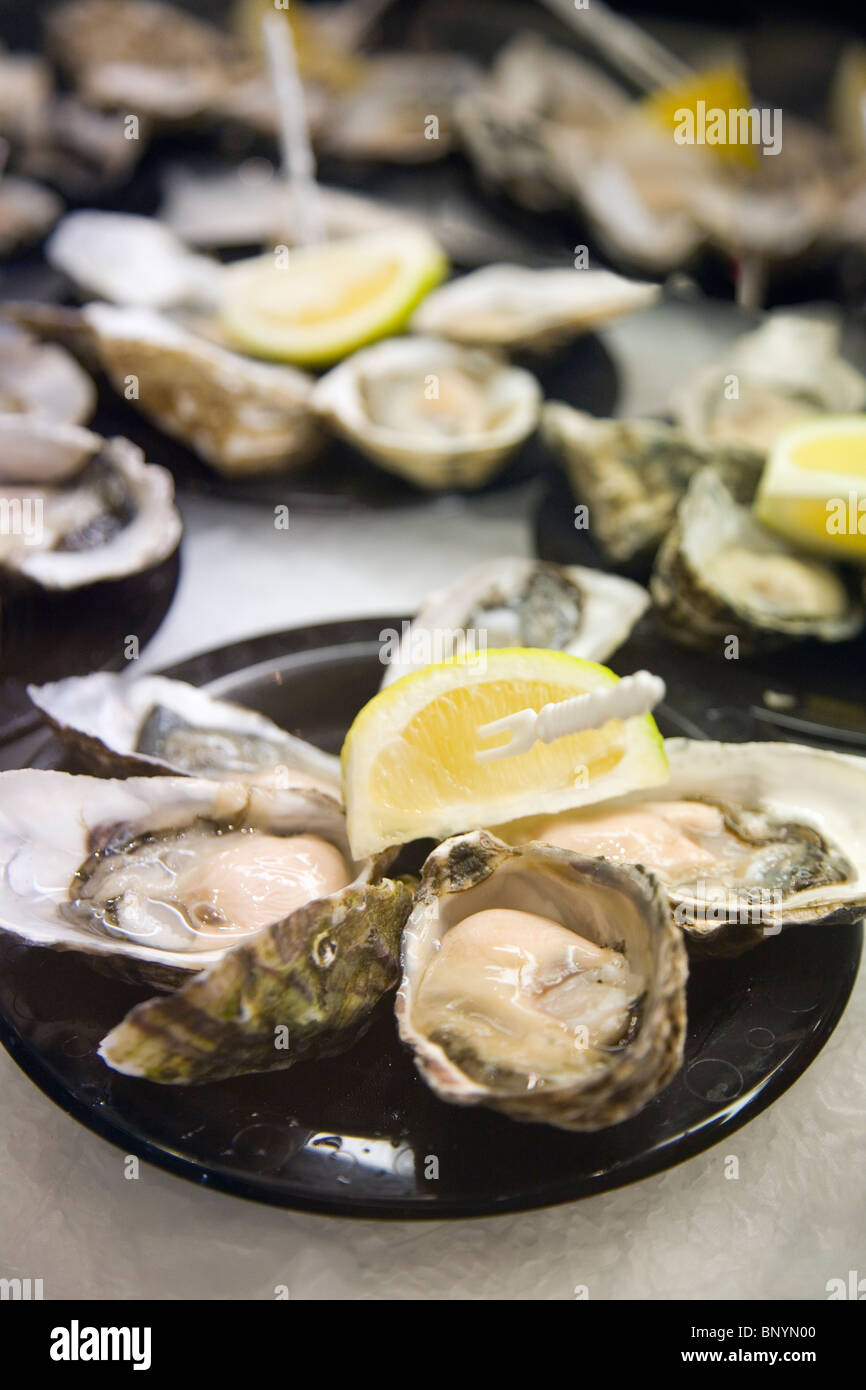 Fresh oyster ready for eating hires stock photography and images Alamy