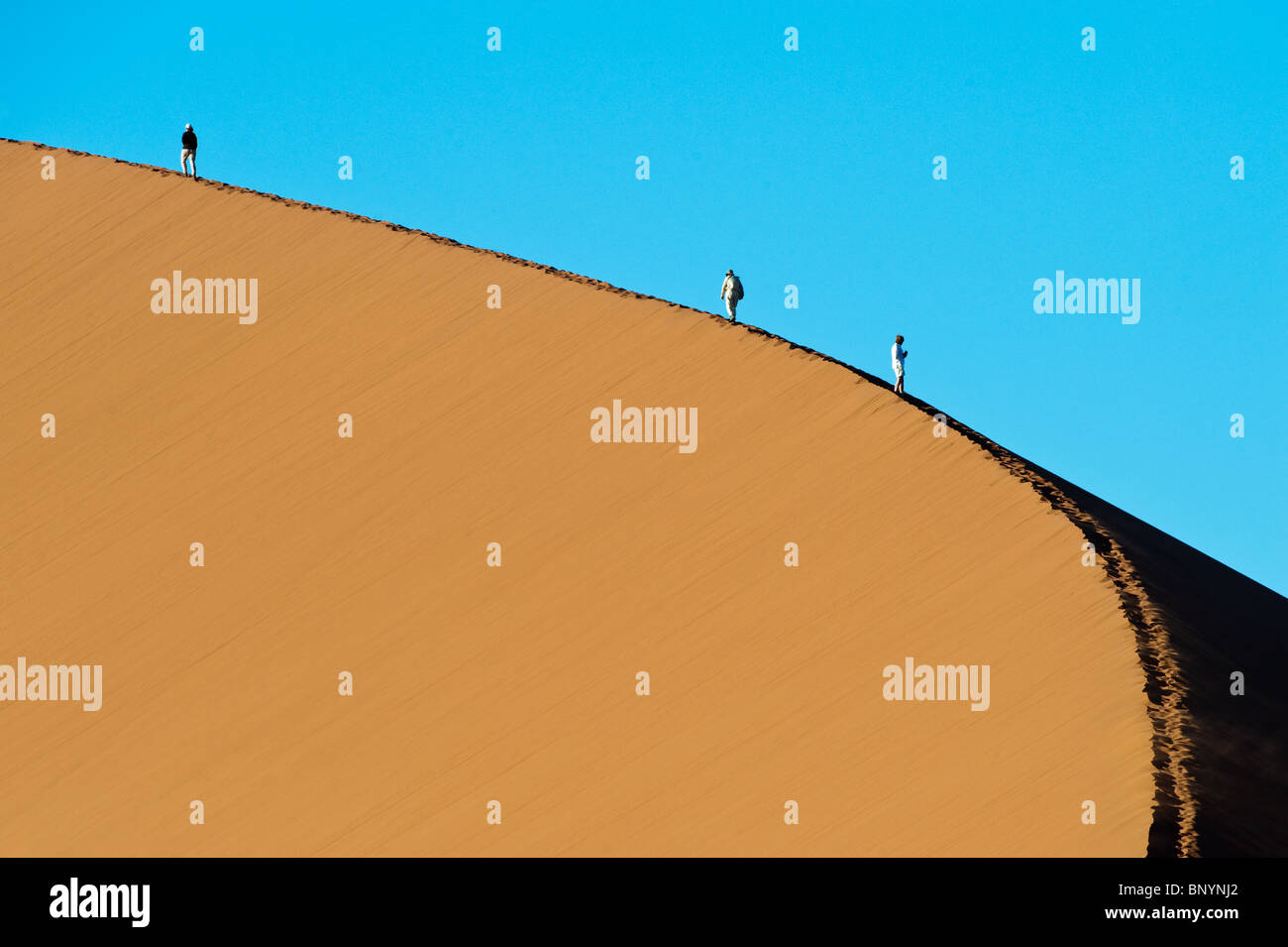 Tourists ascending dune 45 at Sossusvlei in Naukluft Park Central Namib ...