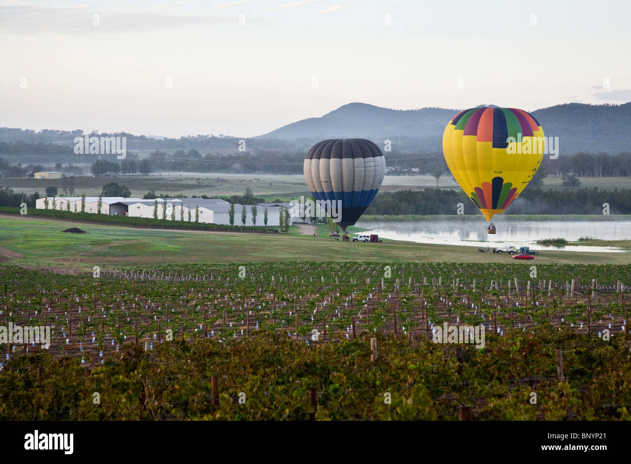Hot air balloons take off for an early morning flight over the vineyards. Hunter Valley, New South Wales, AUSTRALIA Stock Photo