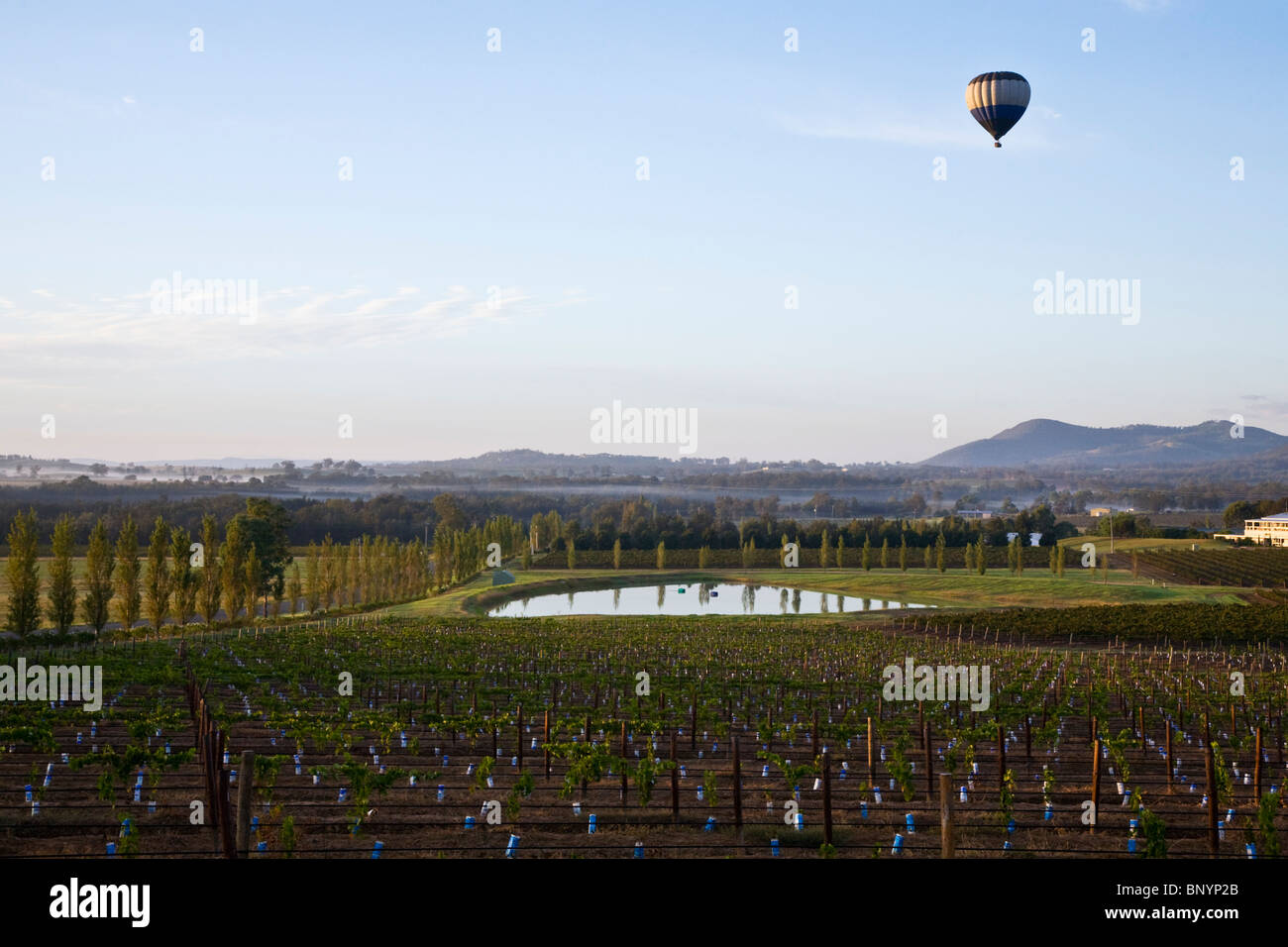 Hot air balloon flying over the vineyards. Hunter Valley, New South Wales, AUSTRALIA Stock Photo