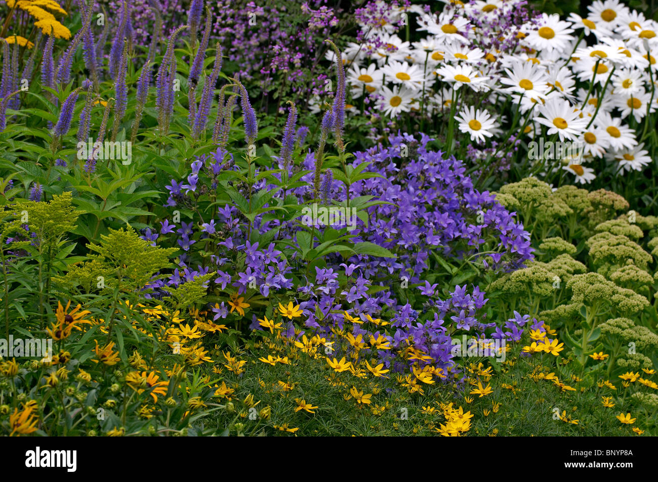 A colourful mixed flower border in a cottage garden Stock Photo