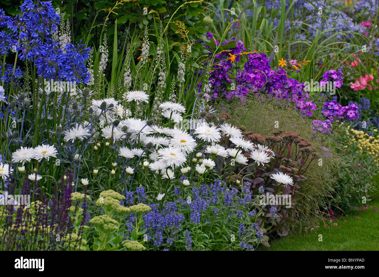 A colourful mixed flower border in a cottage garden Stock Photo