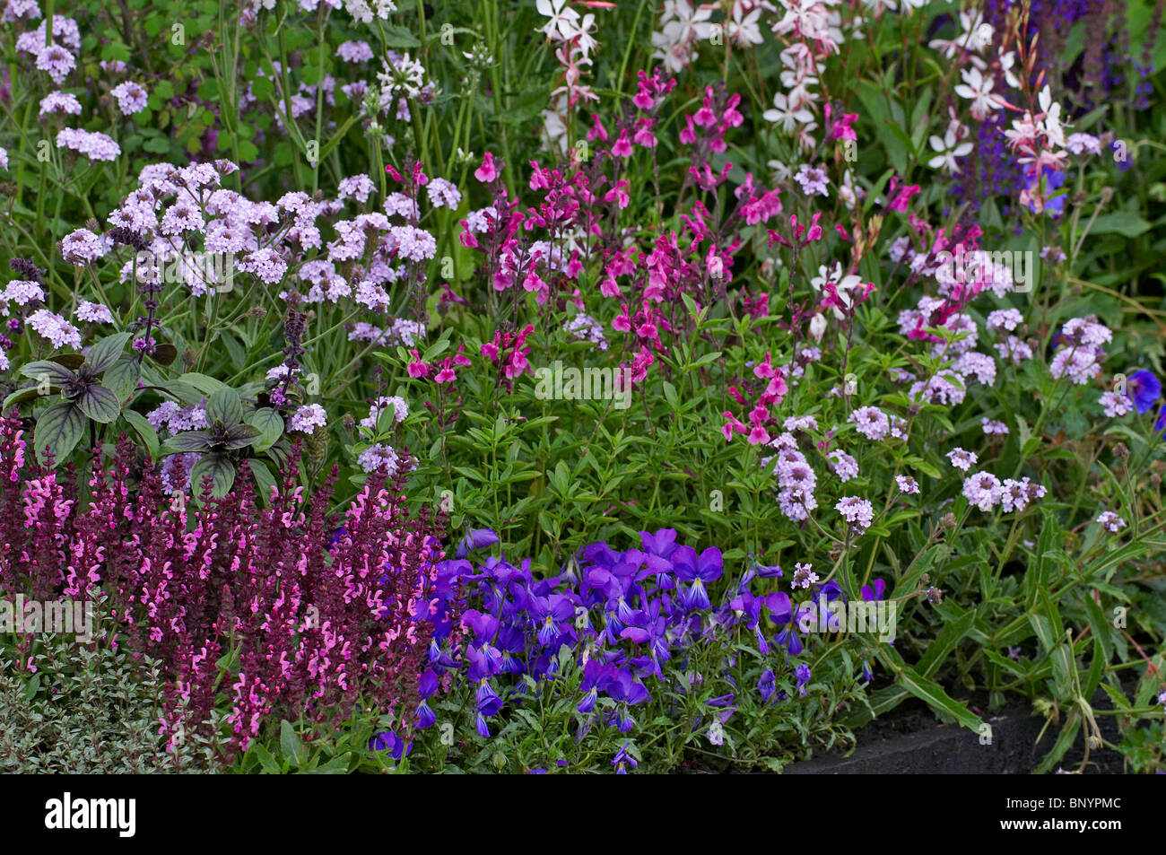 A colourful mixed flower border Stock Photo Alamy