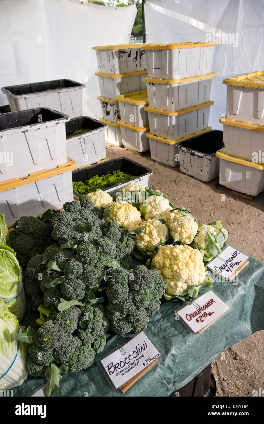 Farmers produce hi-res stock photography and images - Alamy