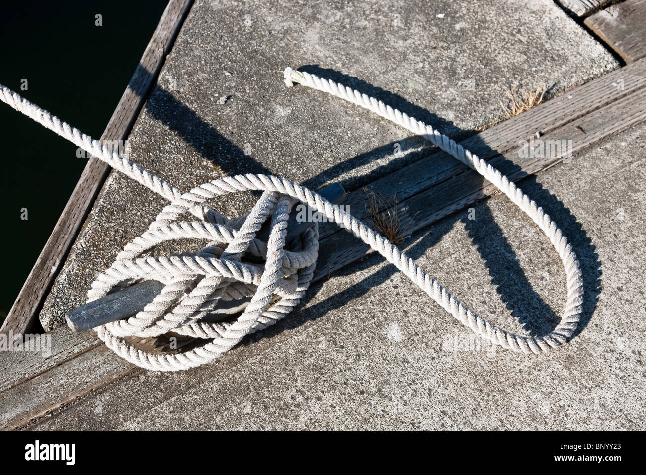 neatly tied cleat hitch mooring knot seen at dock at Squalicum Harbor