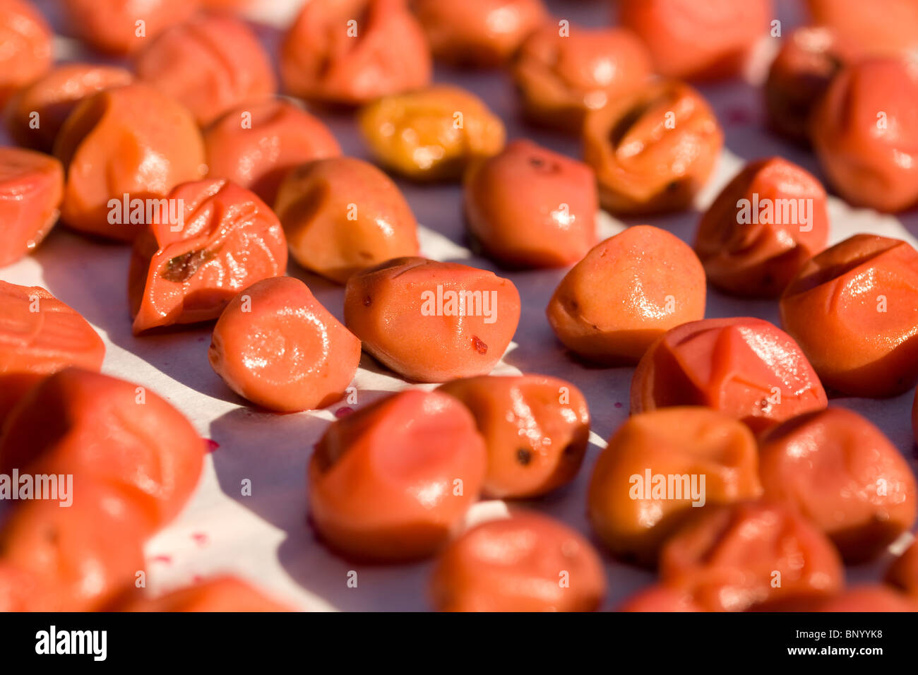 Pickled Japanese plums drying in sun - Umeboshi Stock Photo