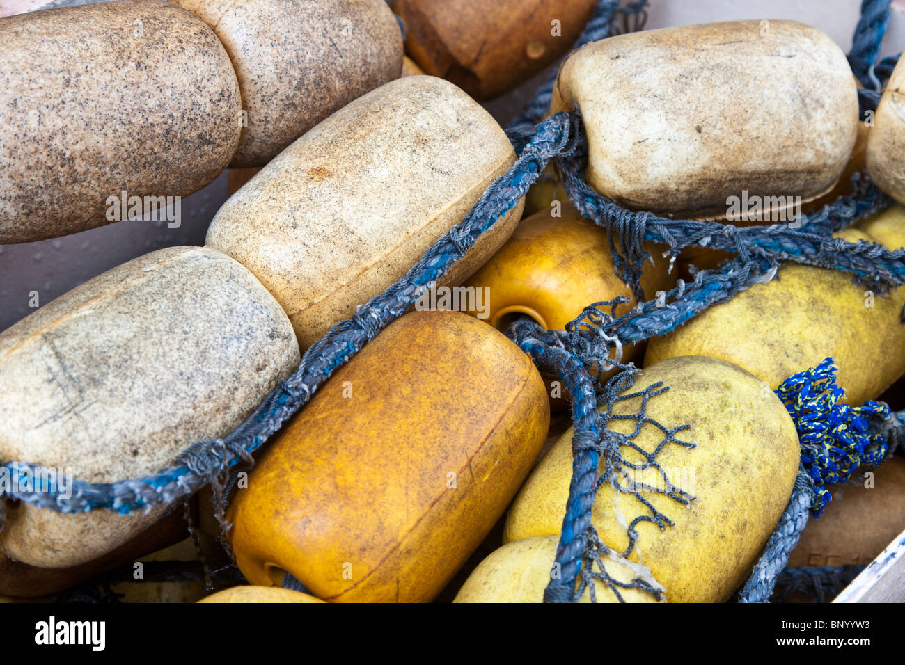 https://c8.alamy.com/comp/BNYYW3/bullet-fishing-floats-sold-as-souvenirs-at-tourist-shops-in-sponge-BNYYW3.jpg