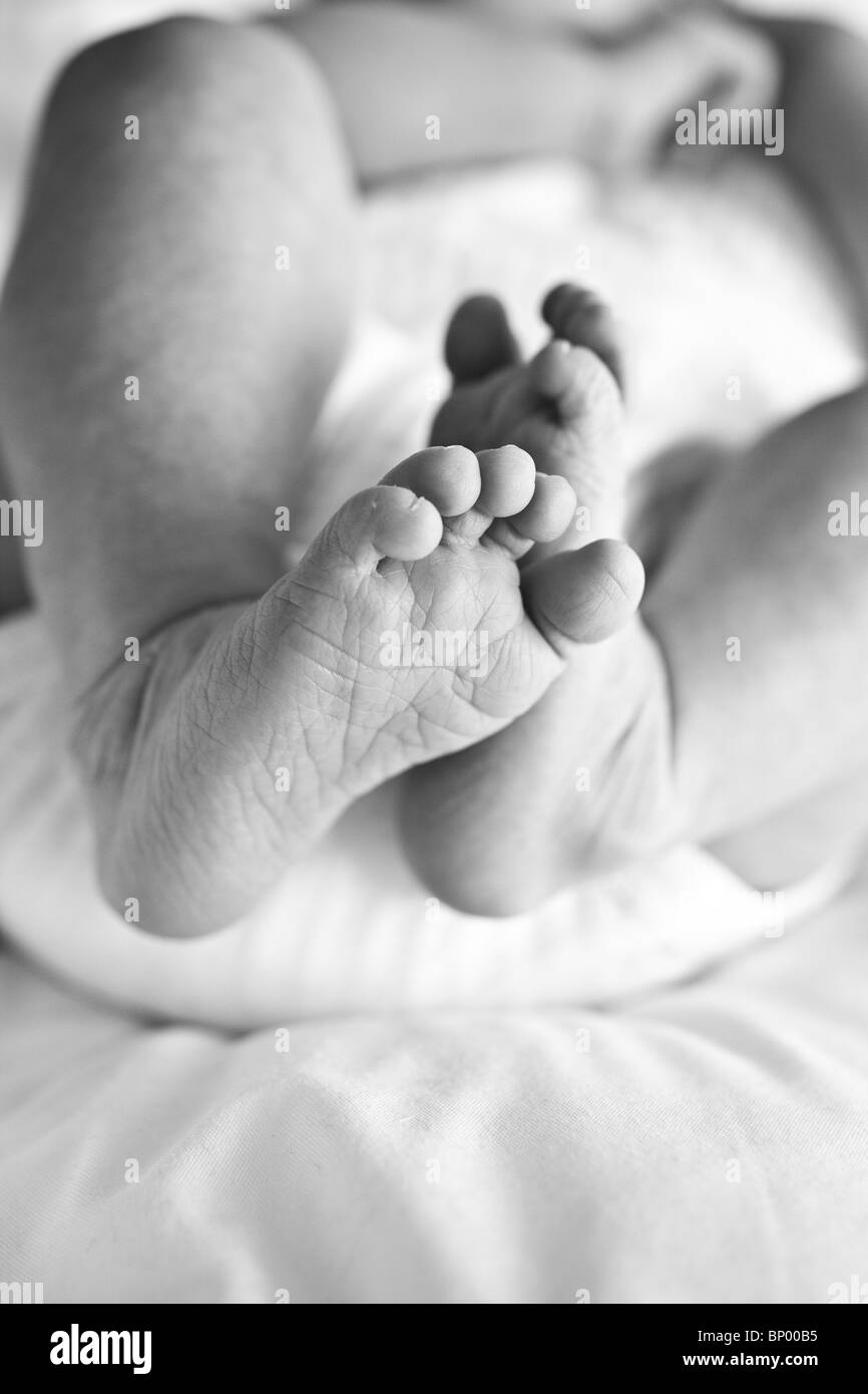 Newborn babys feet Stock Photo Alamy