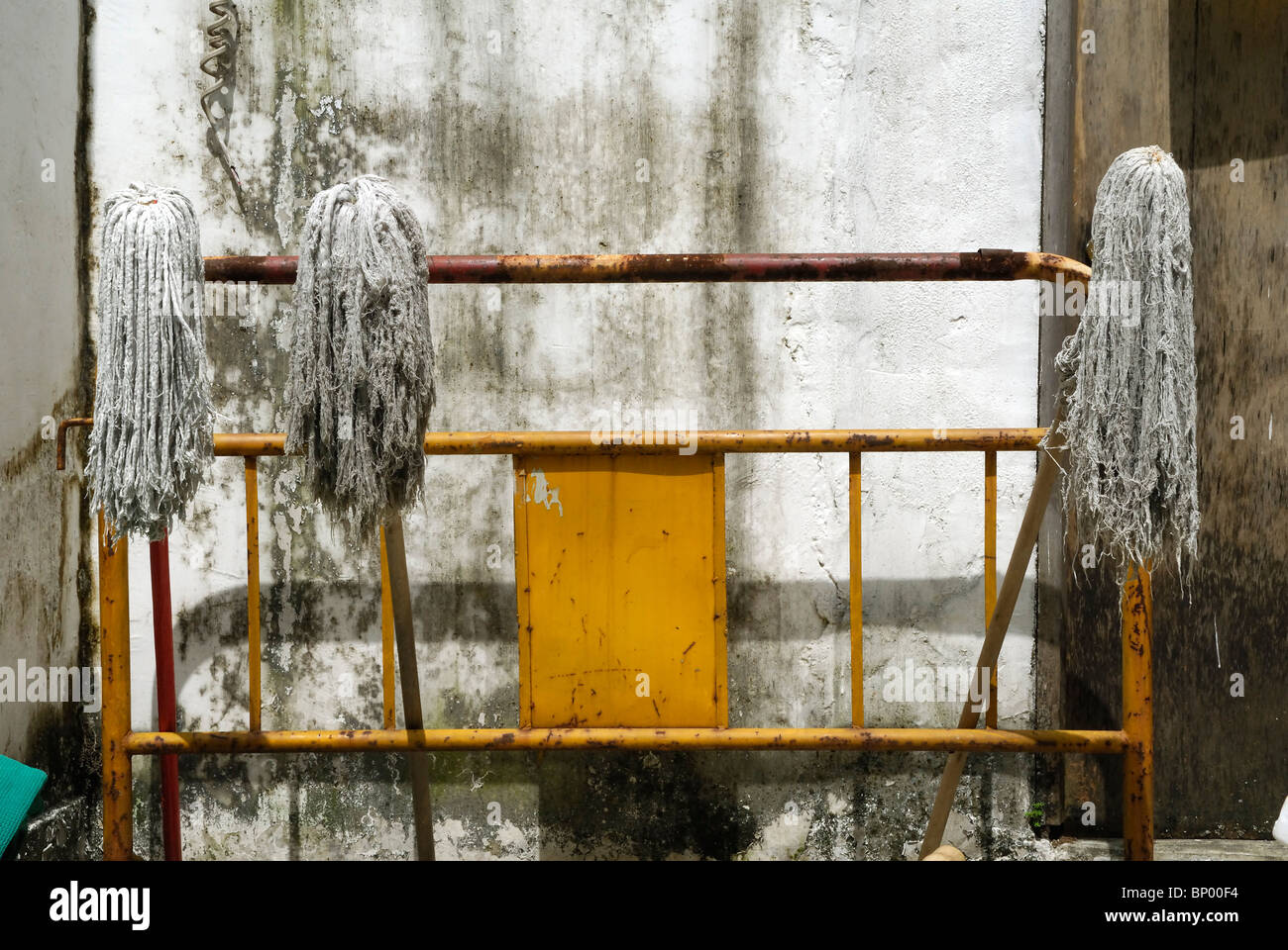 Mops in the Graham Street market area in old Hong Kong. Stock Photo