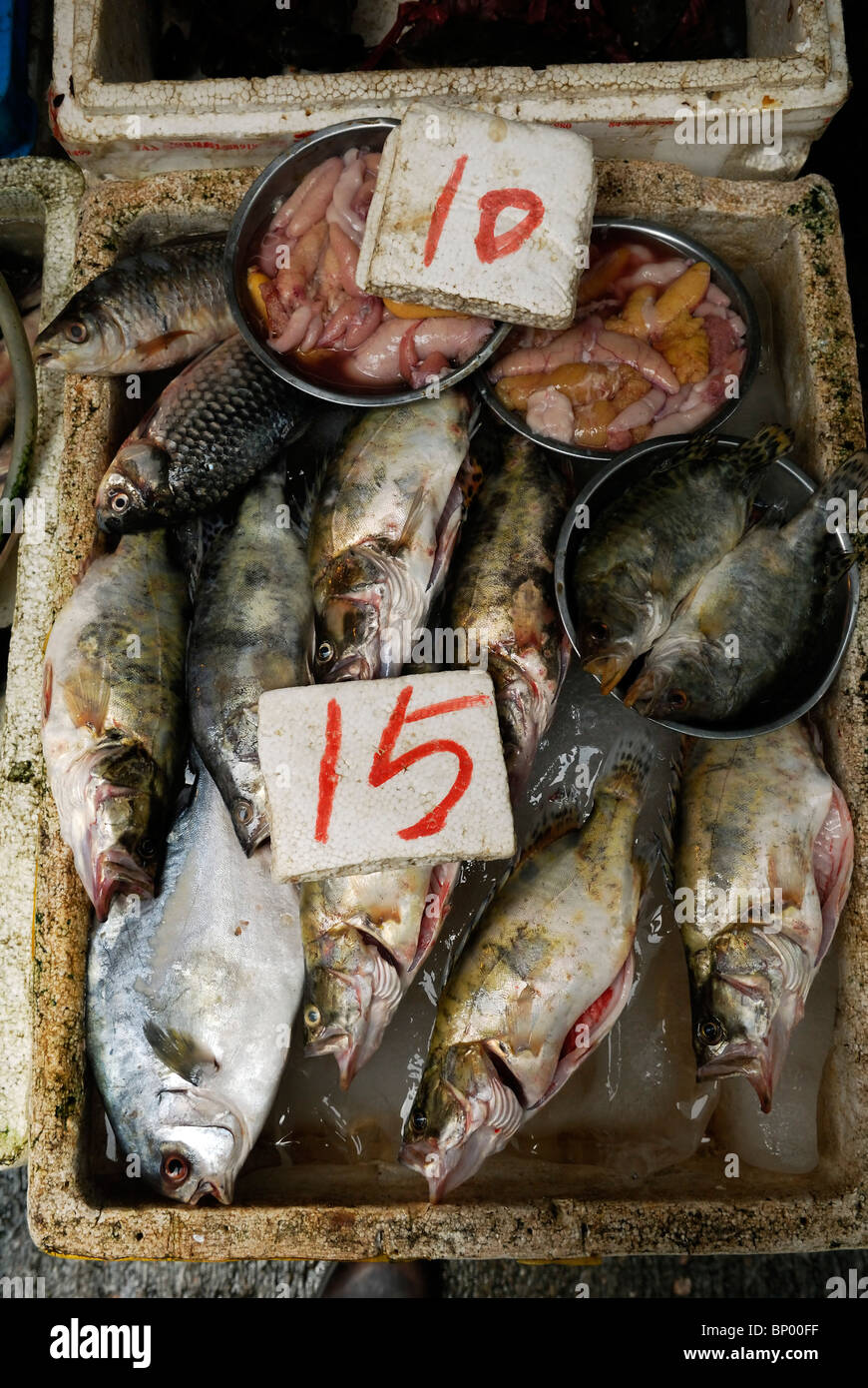 Fresh fish in the Graham Street market area in old Hong Kong Stock