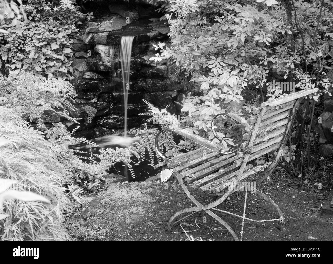 Scene outdoor garden Black and White Stock Photos & Images - Alamy