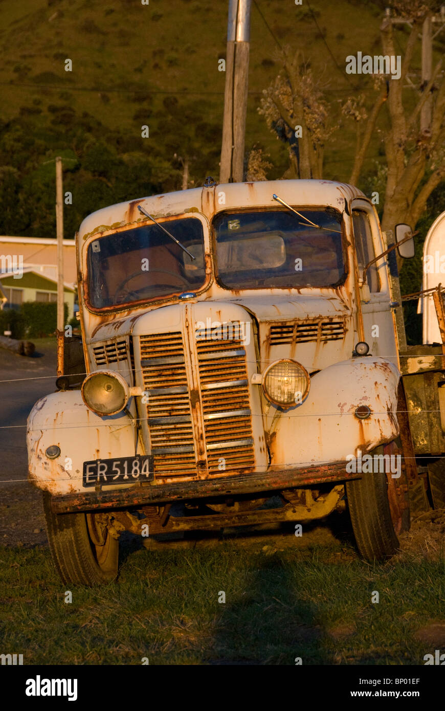 Old Bedford Truck Circa 1950 Cape Palliser Wairarapa