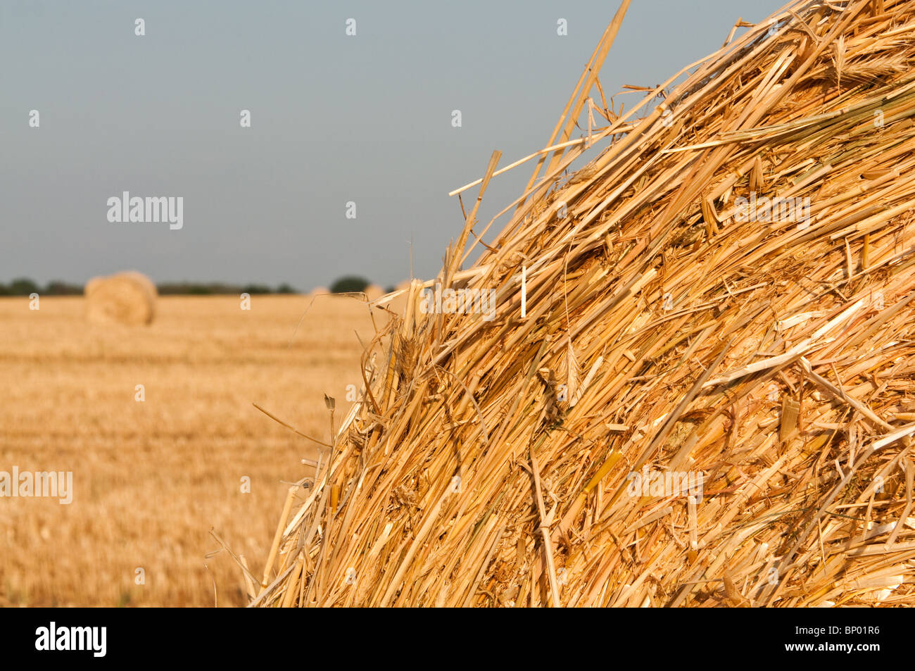 rolling haystack on farmer field Stock Photo - Alamy